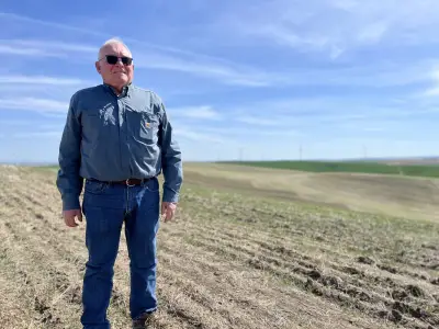Low prices and Trump's trade war are pushing these Northwest farmers to the brink
