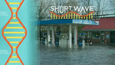 Trump is gutting environmental agencies. What does that mean for Americans?