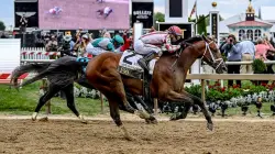 Journalism wins 150th Preakness Stakes after miraculous recovery in thrilling race