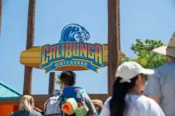 Summer splash: San Jose’s CaliBunga dives into its second season